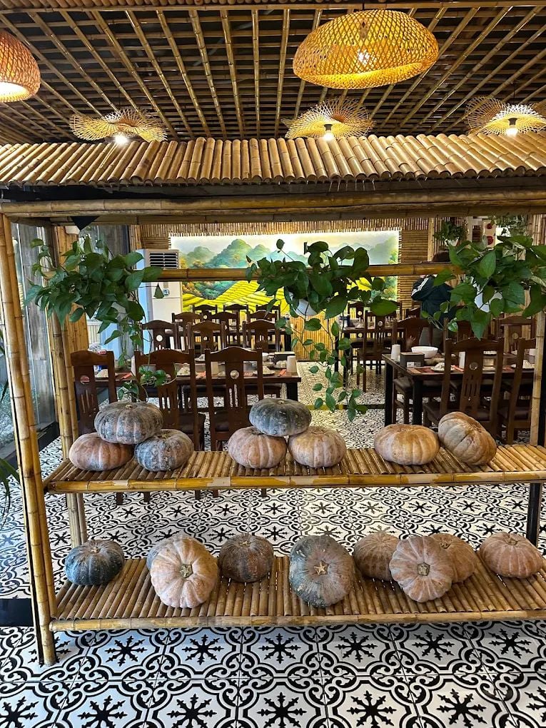 Sen Tràng An - Phạm Văn Nghị