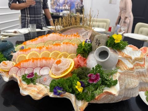 MAIA - 24C Trương Định