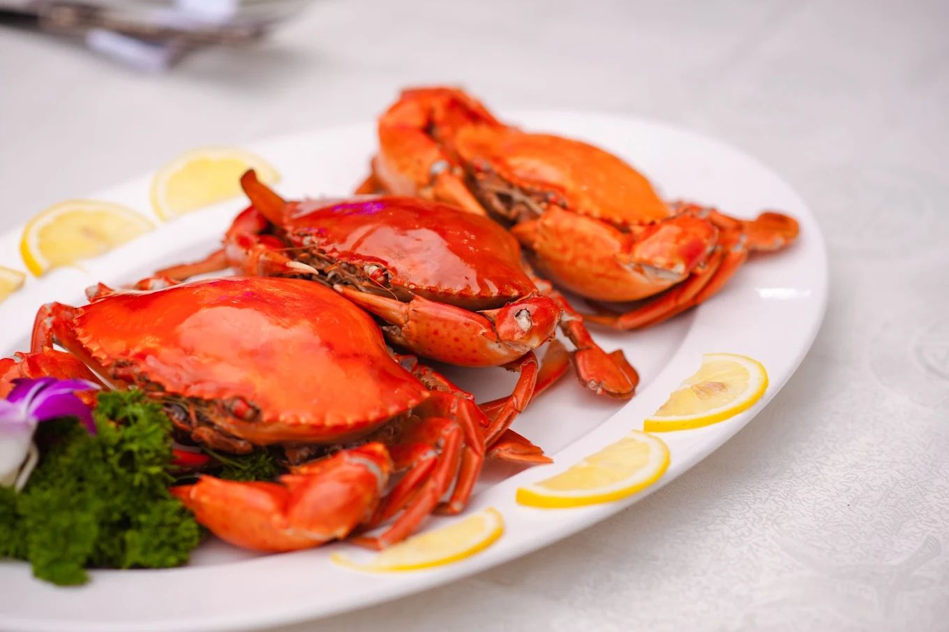 Trung Gia Seafood - 64 Võ Nguyên Giáp