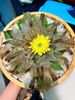 Lẩu Cua Sông CÔ HAI - KBT Tây Nam Linh Đàm