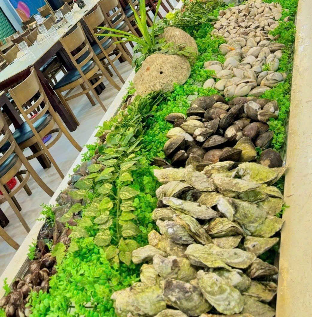 Zallo Buffet Viễn Triều - 17 Cao Văn Bé