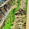 Zallo Buffet Viễn Triều - 17 Cao Văn Bé