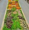 Zallo Buffet Viễn Triều - 17 Cao Văn Bé
