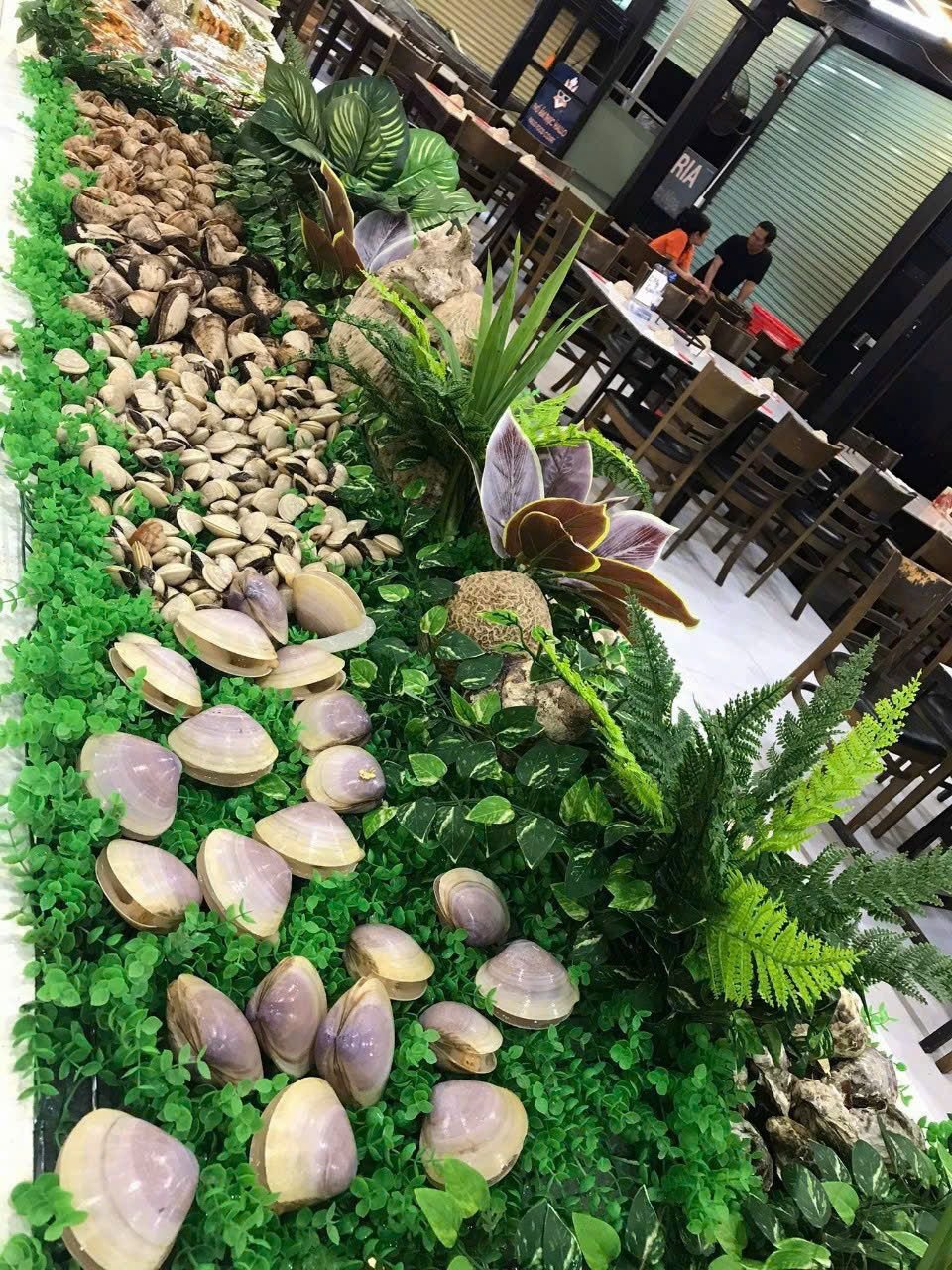 Zallo Buffet Viễn Triều - 17 Cao Văn Bé