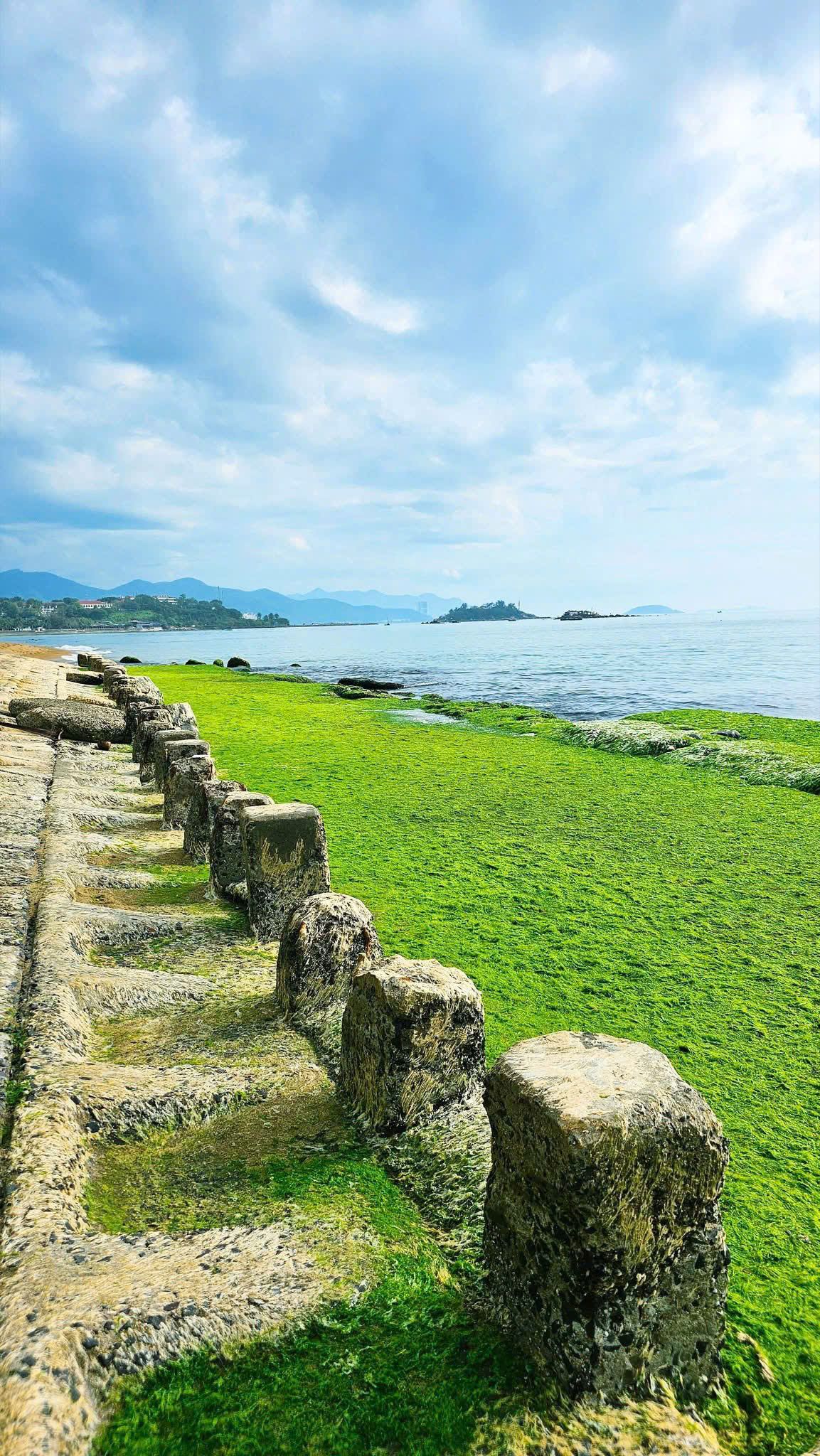 Nha Trang View 378 - 48 Nguyễn Bỉnh Khiêm