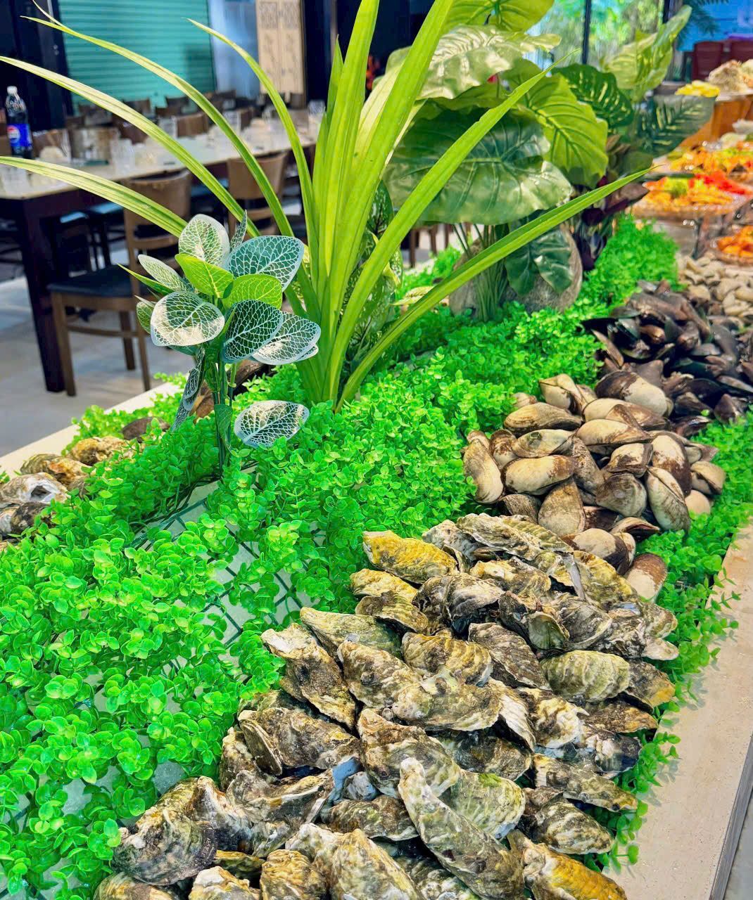 Zallo Buffet Viễn Triều - 17 Cao Văn Bé