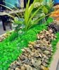 Zallo Buffet Viễn Triều - 17 Cao Văn Bé