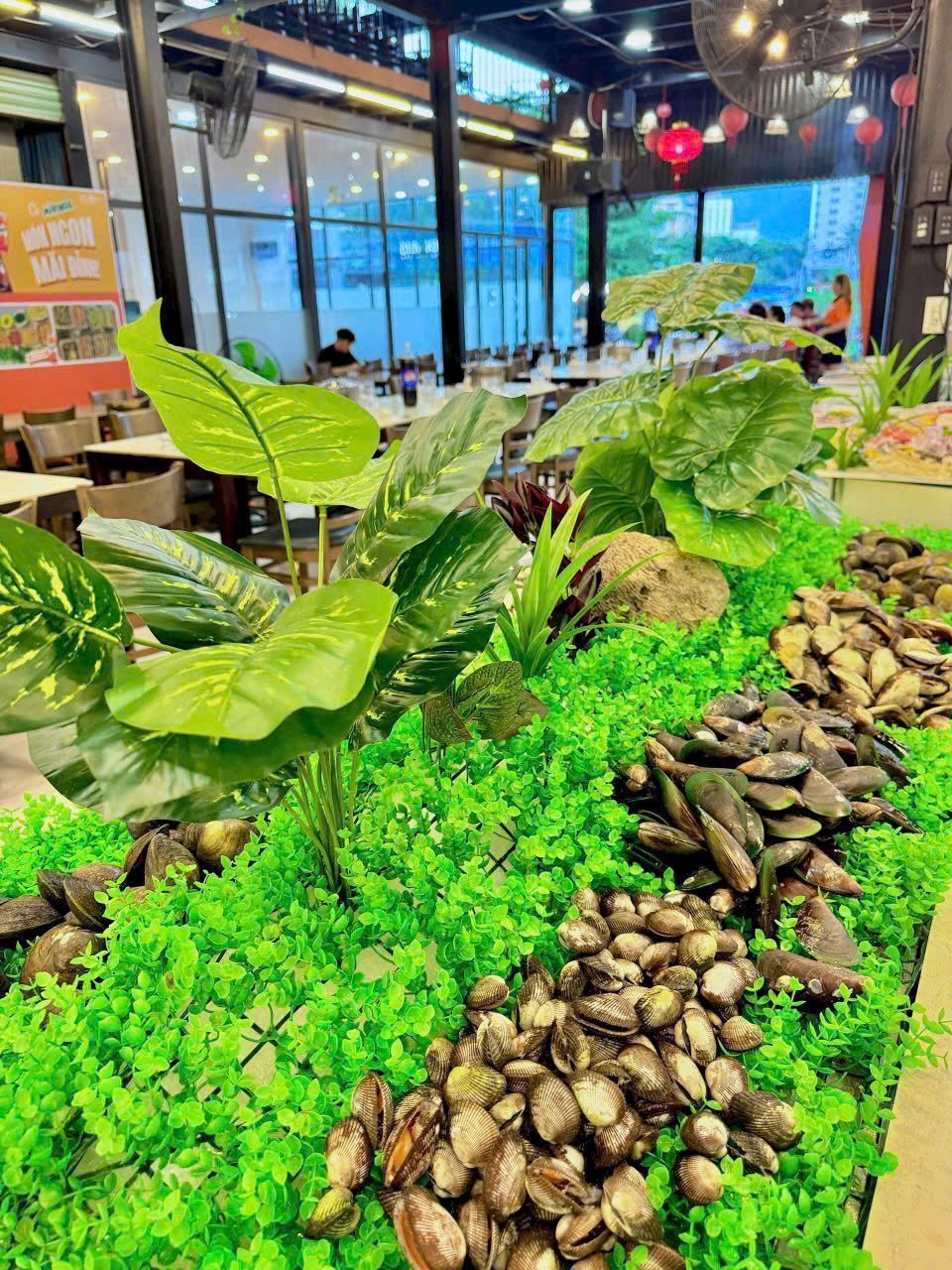 Zallo Buffet Viễn Triều - 17 Cao Văn Bé