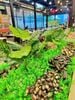 Zallo Buffet Viễn Triều - 17 Cao Văn Bé
