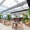 Icon Rooftop Lounge - Du thuyền Happy Yacht