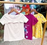  [5-8kg và 9-43kg] Set 3 áo thun tay ngắn bé gái cter- S3A11 