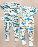  6-17kg; 28-30kg Set 2 đồ bộ tay ngắn quần dài cho bé trai-S2b02T 