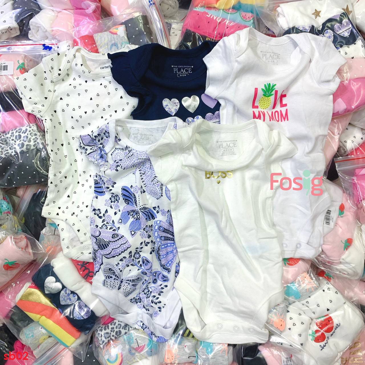  [0-3m, 9-24m] Set 5 Bodysuit Tay Ngắn Bé Gái - Combo ngẫu nhiên 