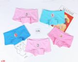  [ 7-8kg ] Set 5 Quần Chip Bé Gái HM - QC4 