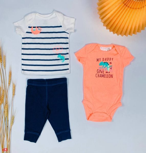  [ 3-6kg; 3m, 6m] Set 3 Bé Trai Cter - Trắng Sọc Lười 