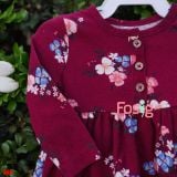  [0-12M] Đầm Cotton Tay Dài Bé Gái Cter - Đỏ Hoa Hồng Xanh 