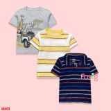  3-9kg 3M-12m  Set 3 áo thun tay ngắn bé trai CTer- S3A12T 