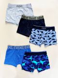  12-25kg 3T-10T Set 5 quần boxer bé trai- S5Q01 