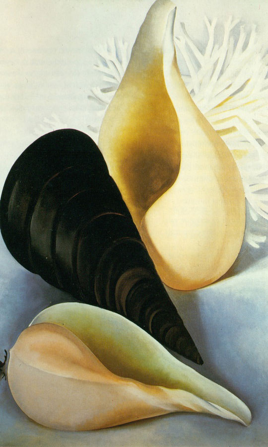 three shells 1937 by