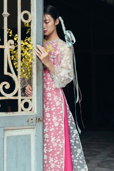 Bộ áo dài nữ voan tơ hoa rơi hồng ngọc quyên