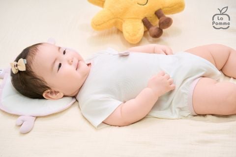  Gối đầu La Pomme Đảo Cua Cam 