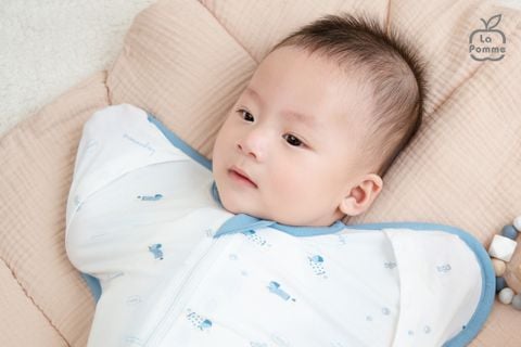 Nhộng chũn La Pomme Ngôi Nhà Của Cún Con 