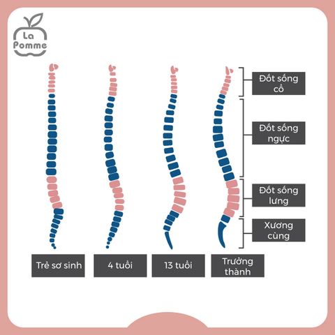  Gối đỡ đầu sơ sinh bo viền 