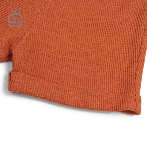  Bộ Cộc Tay La Pomme Thợ làm vườn gấu nâu - Xanh 