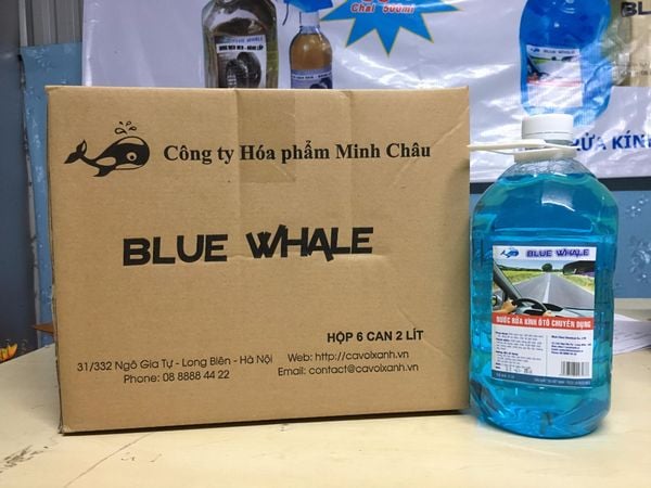  Nước rửa kính xe ô tô hiệu BLUE WHALE (thùng 6 can x 2 lít)_Lẻ 