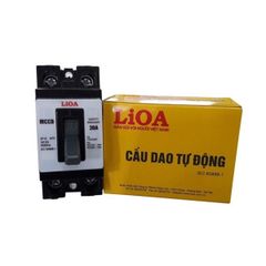 Aptomat LiOA 20A