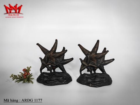  Chặn sách hình sao biển ( ARĐG 1177 ) 