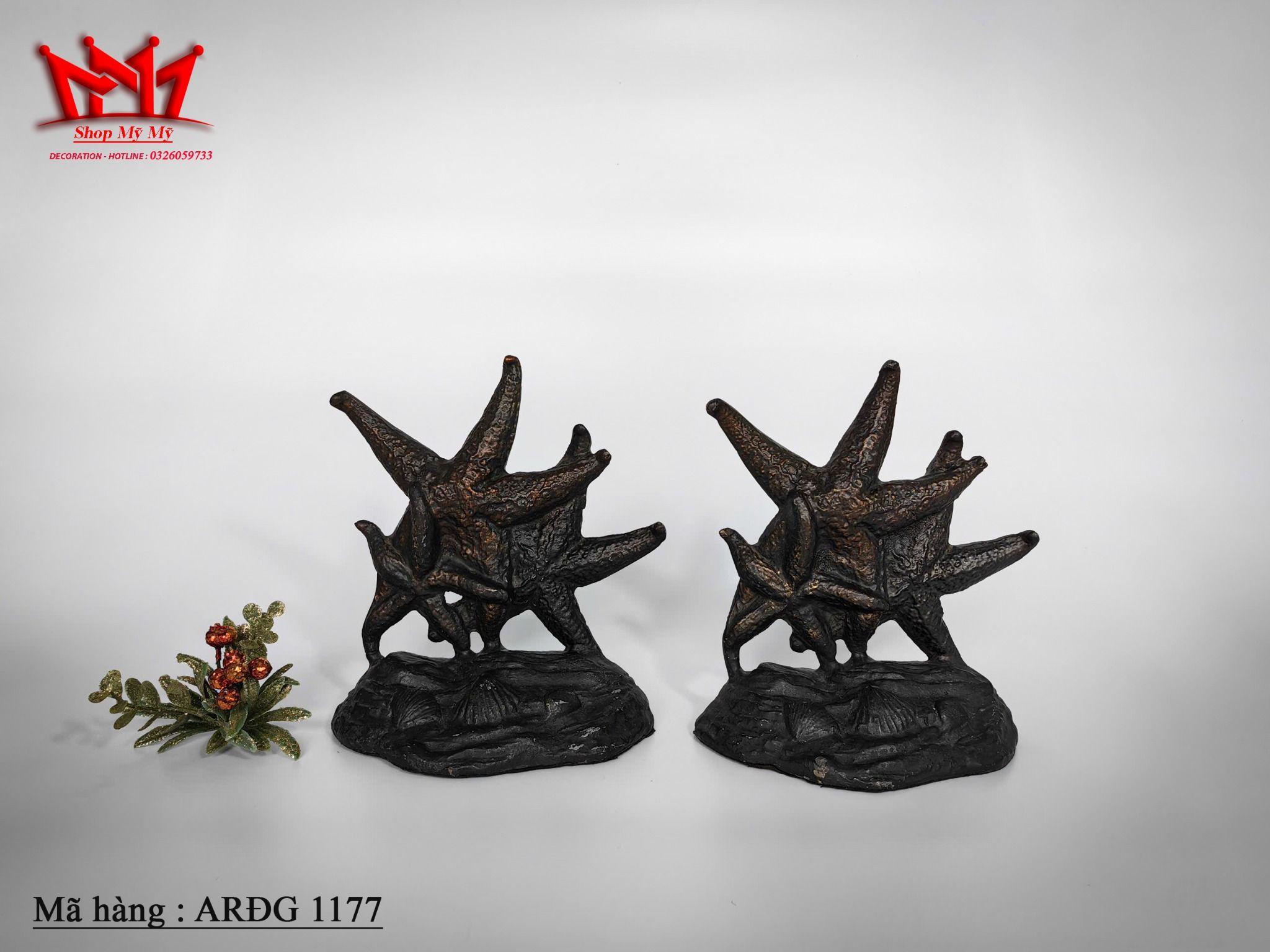 Chặn sách hình sao biển ( ARĐG 1177 )