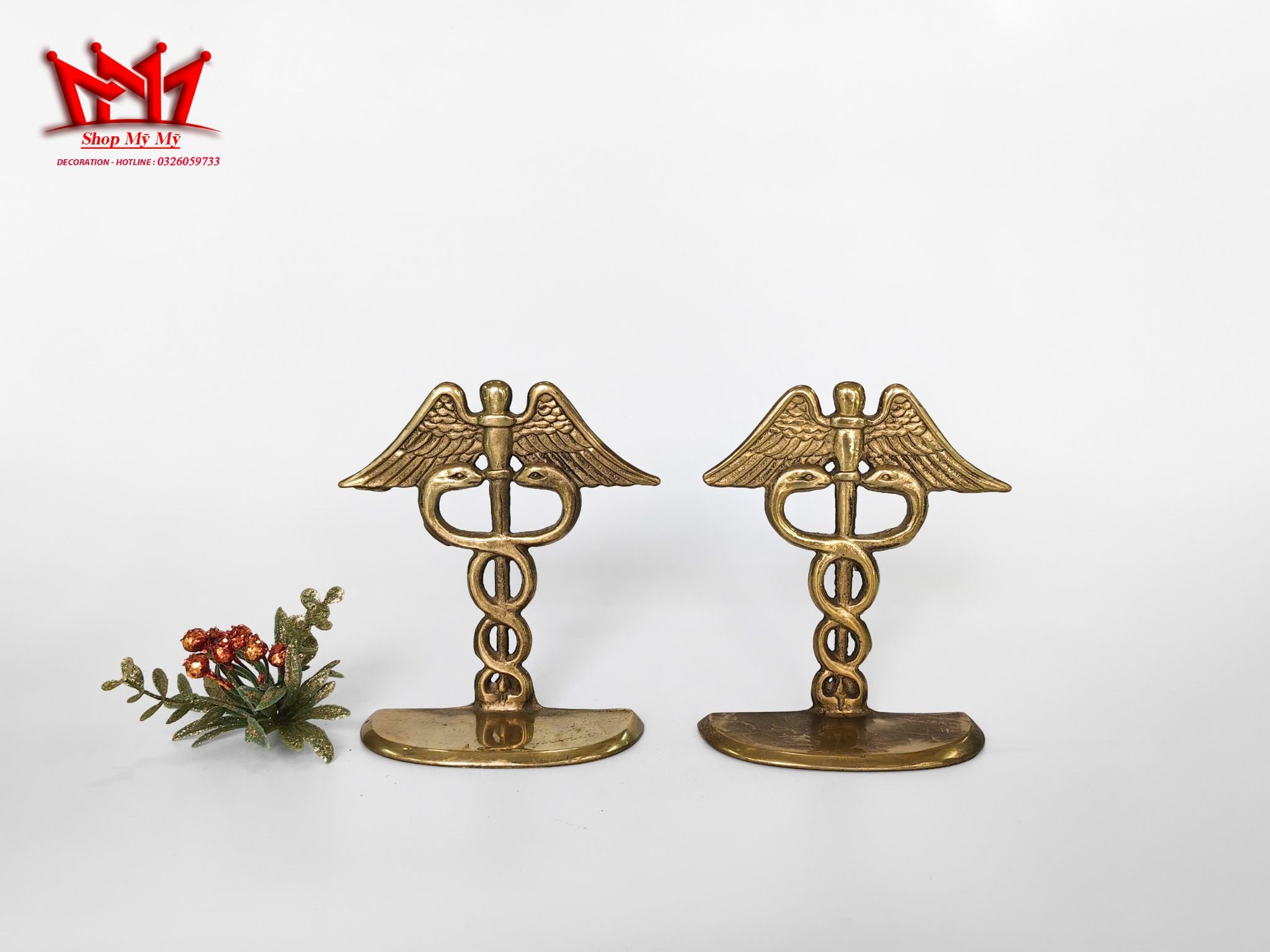 Cặp chặn sách bằng đồng hình cặp rắn biểu tượng trong y học