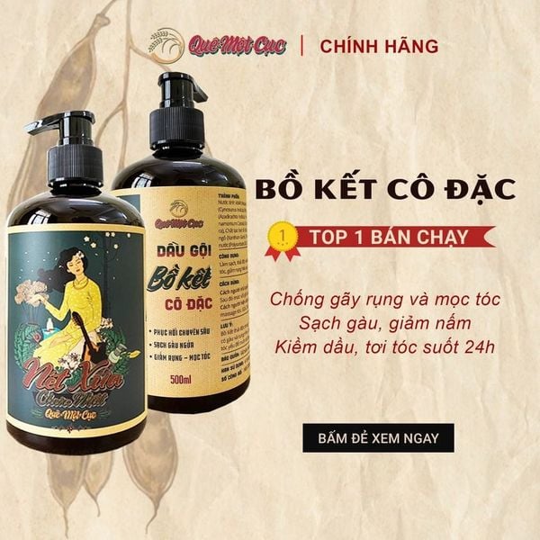  Dầu Gội Bồ Kết Cô Đặc - Gleditsia Concentrate Shampoo 500ml 