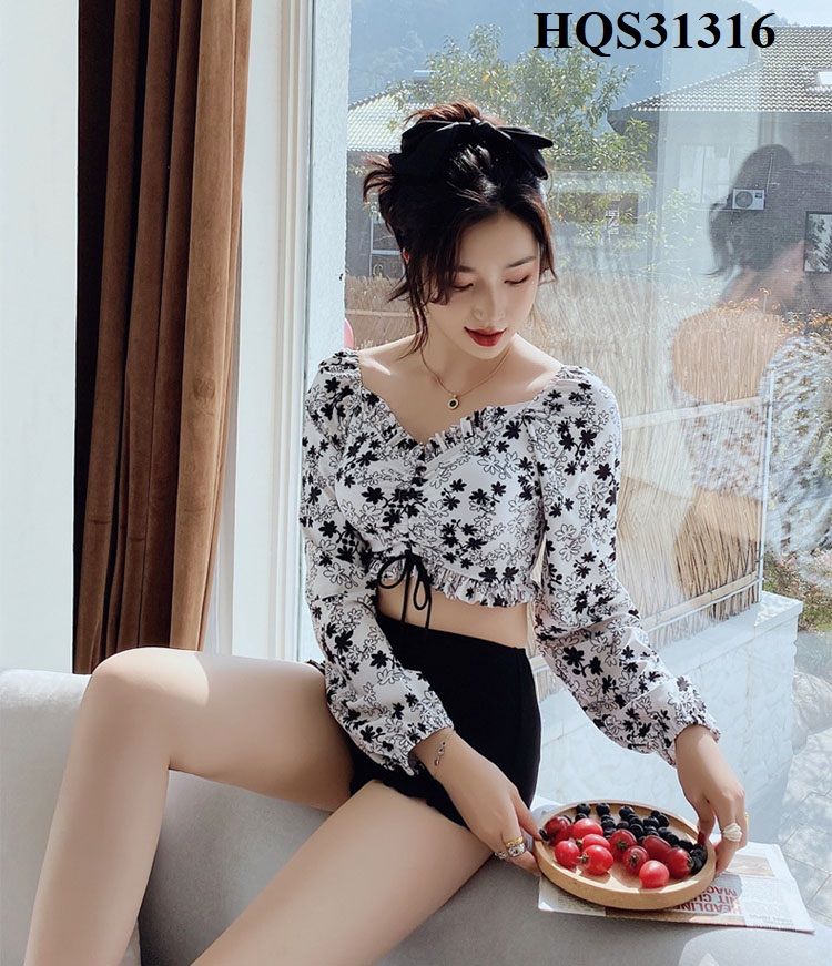 HQS 31316