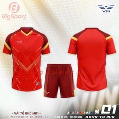 Áo đá bóng không logo CP Win 01