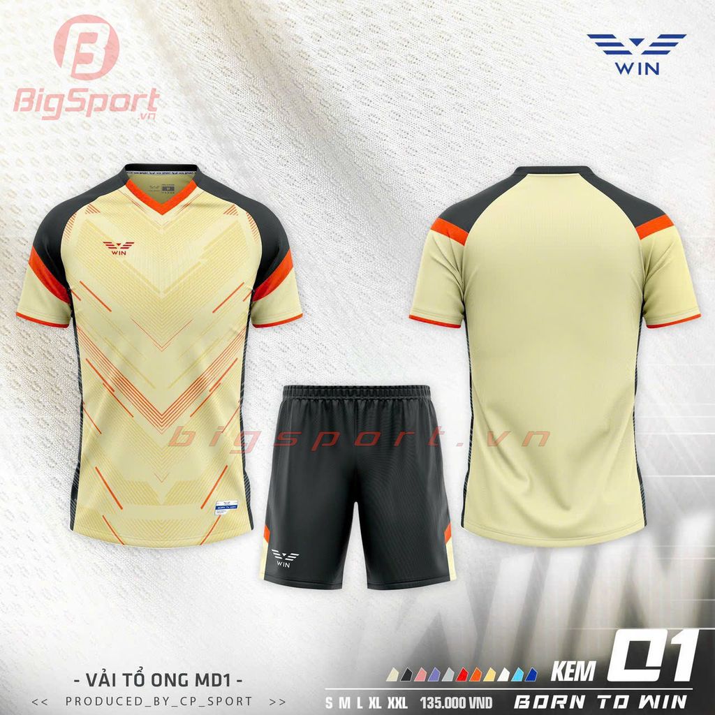 Áo đá bóng không logo CP Win 01