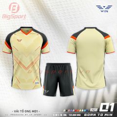 Áo đá bóng không logo CP Win 01