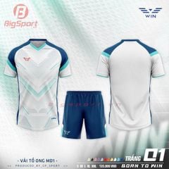 Áo đá bóng không logo CP Win 01