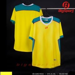 Áo đá bóng không logo CP 02