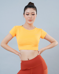 Áo croptop Icado AT7