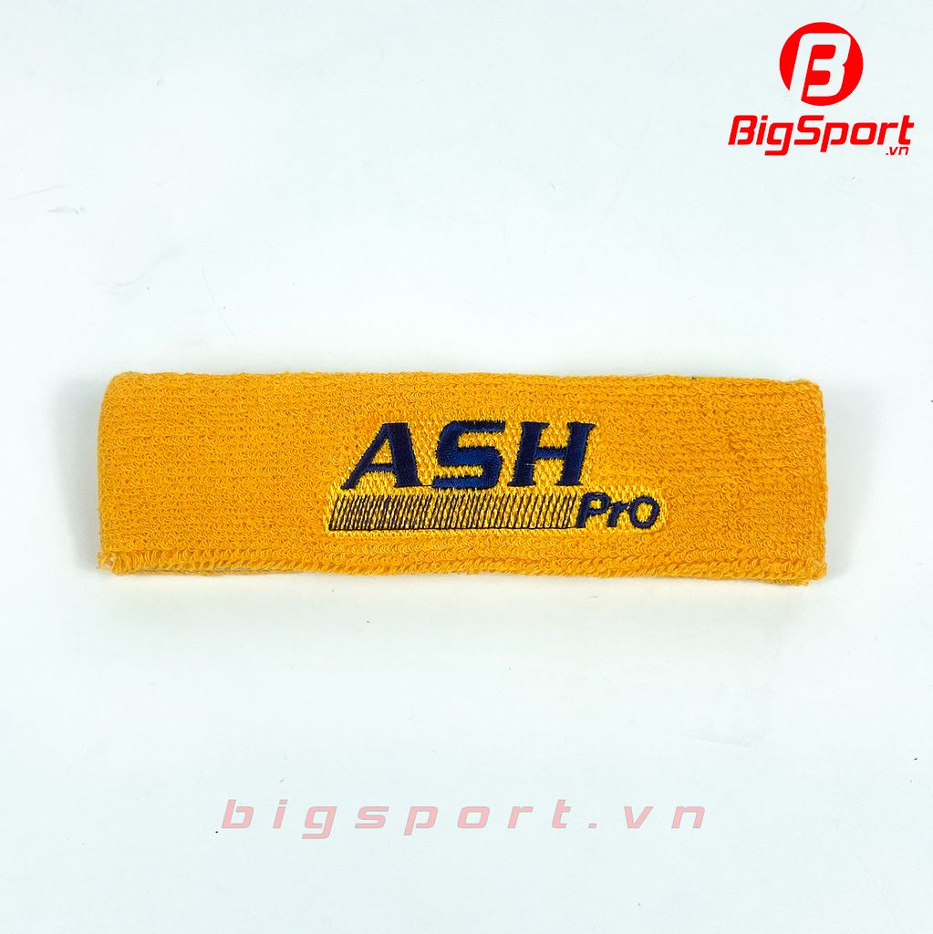 Băng chặn mồ hôi đầu ASH