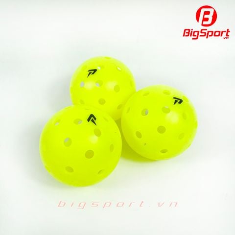 Bóng Pickleball Passion