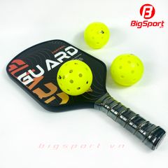 Bóng Pickleball Passion