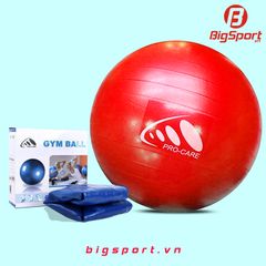 Bóng tập Yoga Procare 65cm trơn