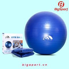 Bóng tập Yoga Procare 75cm trơn