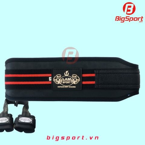 Đai lưng tập Gym cứng LS
