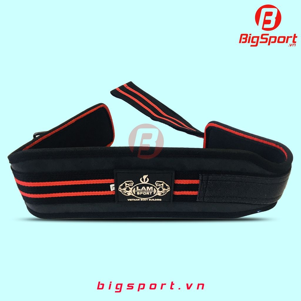 Đai lưng tập Gym cứng LS