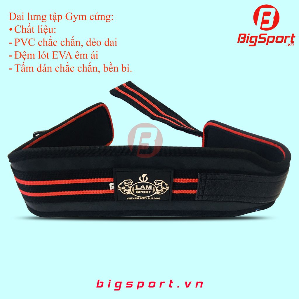 Đai lưng tập Gym cứng LS
