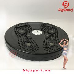 Đĩa xoay eo nhựa Thanh Xuân